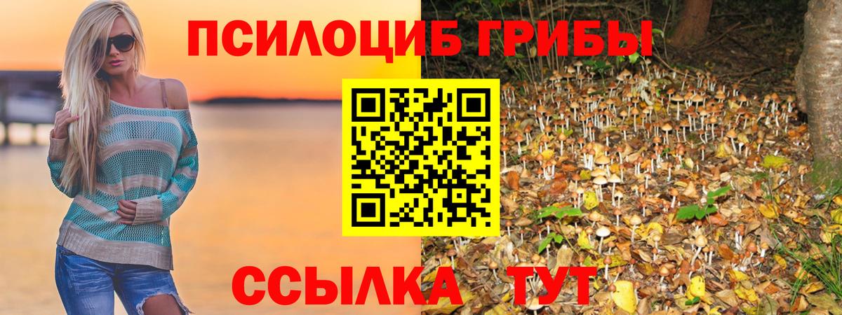 Омск  Галлюциногенные грибы MAGIC MUSHROOMS  Псилоцибиновые грибы GOLDEN TEACHER  Вход с VPN 